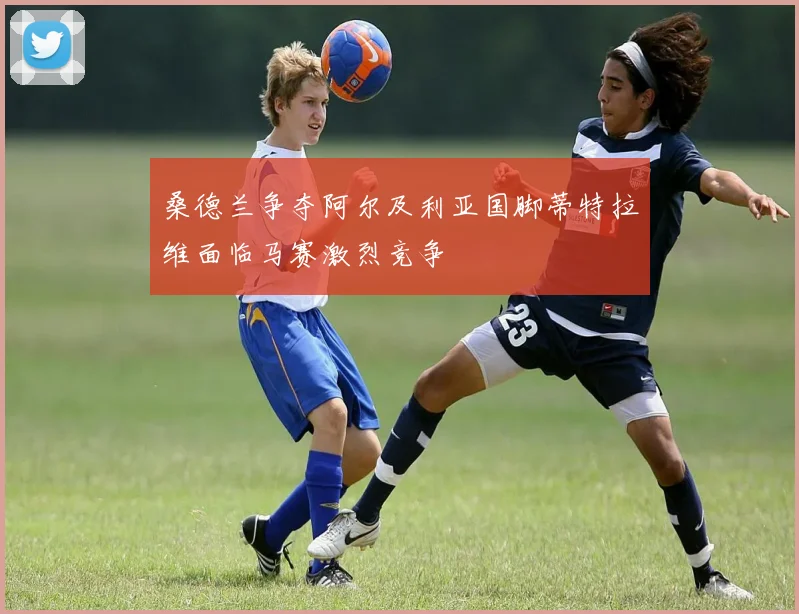 桑德兰争夺阿尔及利亚国脚蒂特拉维面临马赛激烈竞争