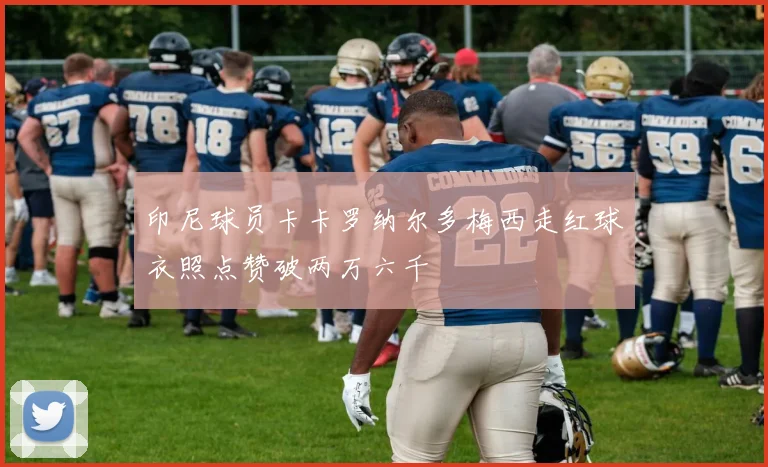 印尼球员卡卡罗纳尔多梅西走红球衣照点赞破两万六千